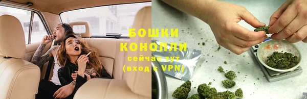 соль ск Тайга