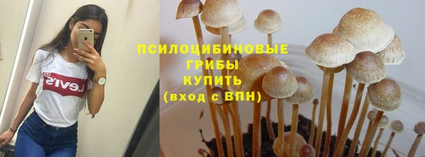 соль ск Тайга