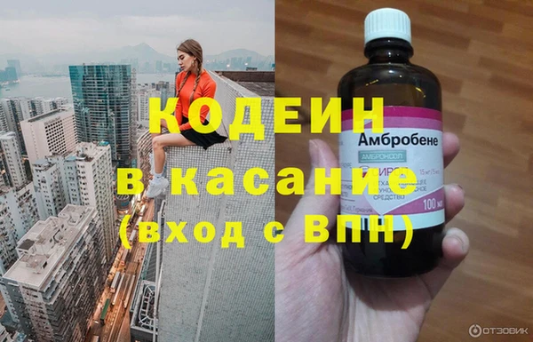 стафф Тавда
