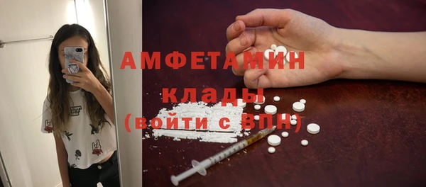 соль ск Тайга