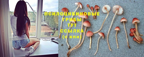 MDMA Premium VHQ Сясьстрой