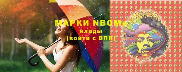 стафф Тавда