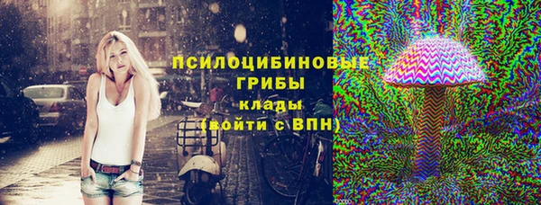 стафф Тавда