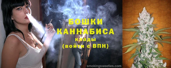 соль ск Тайга