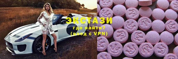 соль ск Тайга