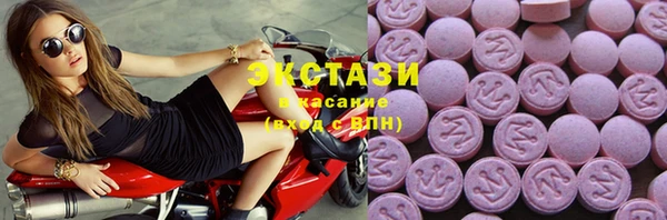соль ск Тайга
