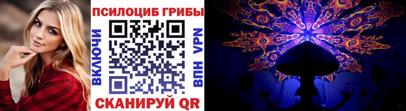 Купить где  Белогорск  Псилоцибиновые грибы прущие грибы 